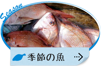 季節の魚