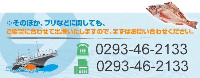 そのほか、ブリなどに関しても、ご要望に合わせて出港いたしますので、まずはお問い合わせください。