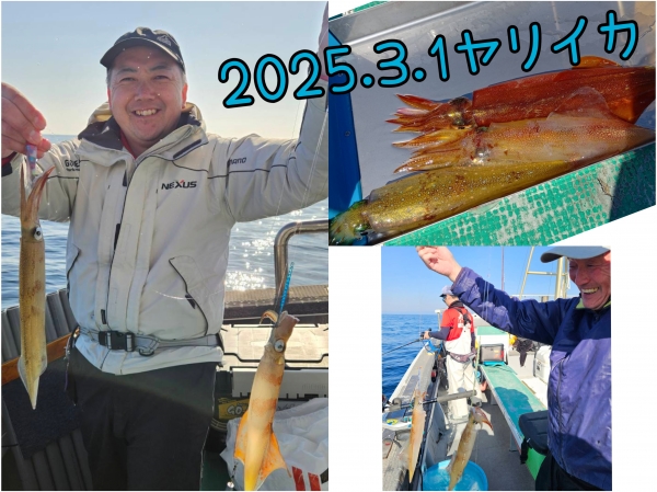 2025年3月1日(土)ヤリイカ