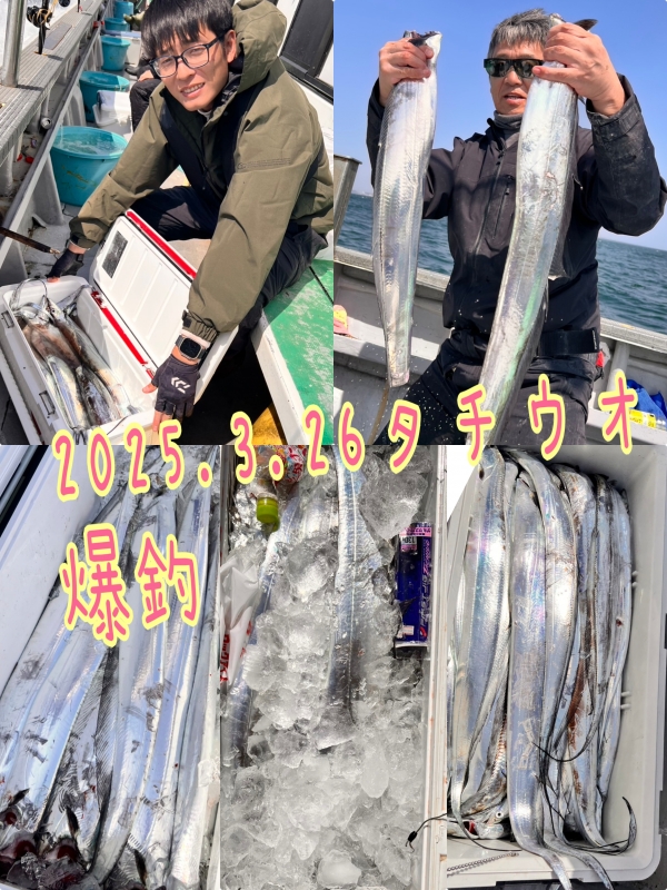 2025年3月26日(水)タチウオ