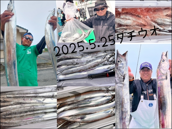 ２０２５年5月25日(日)タチウオ