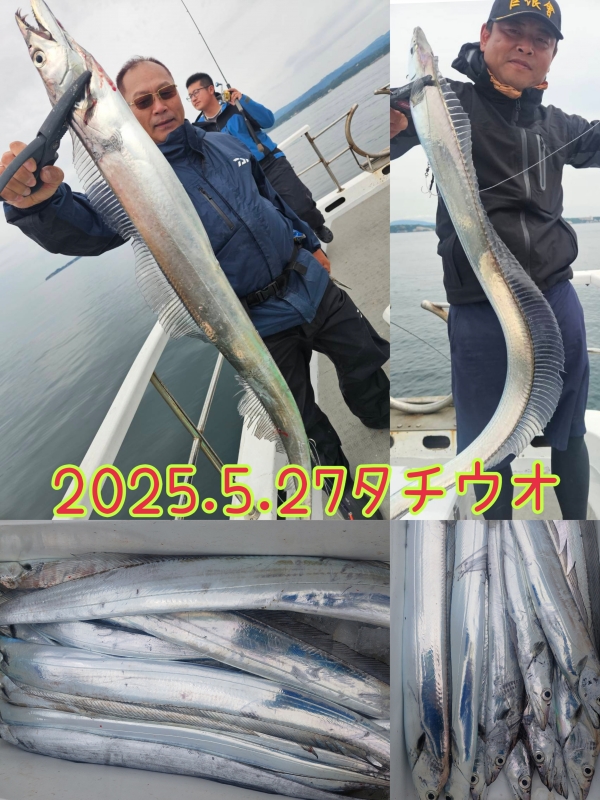 2025年5月27日(火)タチウオ