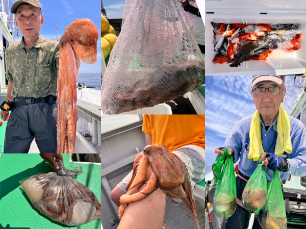 2025年６月２８日(土)柳ダコ