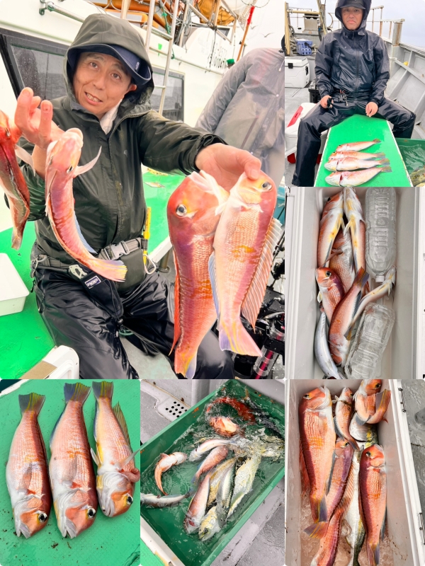 2025年10月11日(土)アマダイ