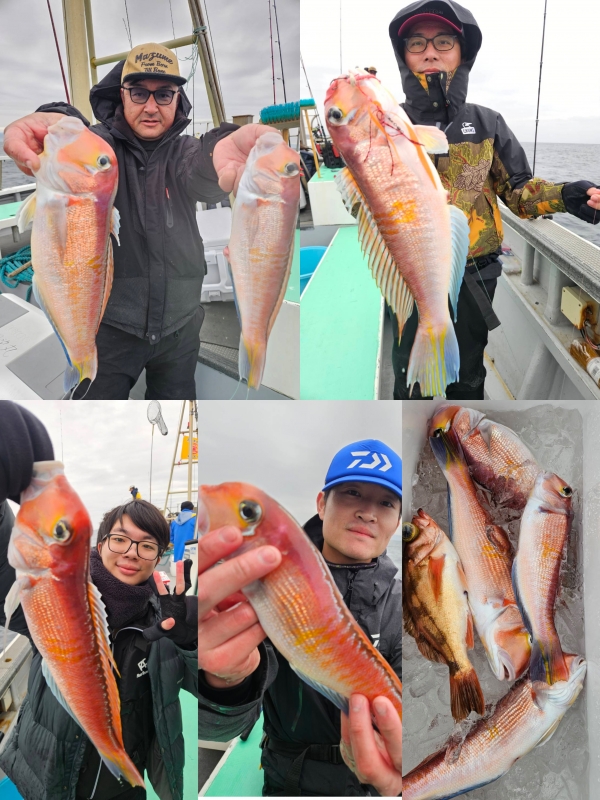 2026年2月11日(水)アマダイ