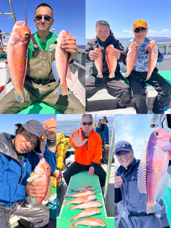 ２０２６年４月１１日(土)アマダイ