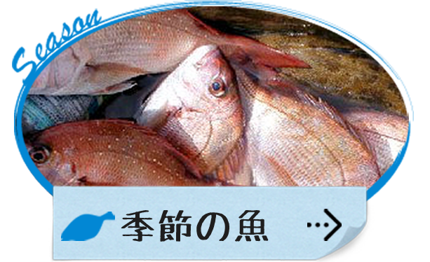 季節の魚