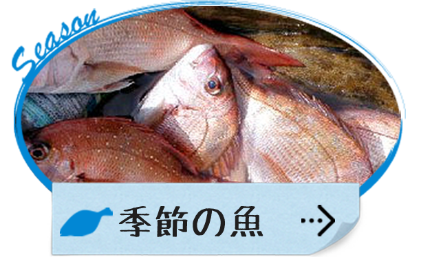 季節の魚