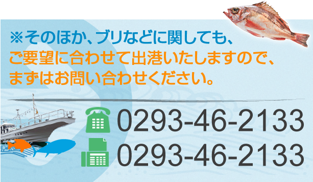 そのほか、ブリなどに関しても、ご要望に合わせて出港いたしますので、まずはお問い合わせください。 tel:0293-46-2133
