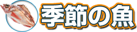 釣果速報